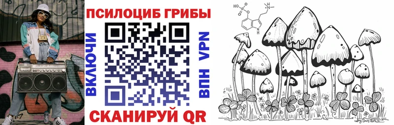 Псилоцибиновые грибы Psilocybine cubensis  Абакан 