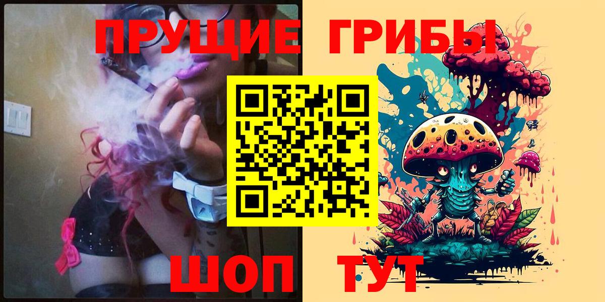Галлюциногенные грибы Psilocybe  Вход с VPN  Псилоцибиновые грибы MAGIC MUSHROOMS  Абакан 