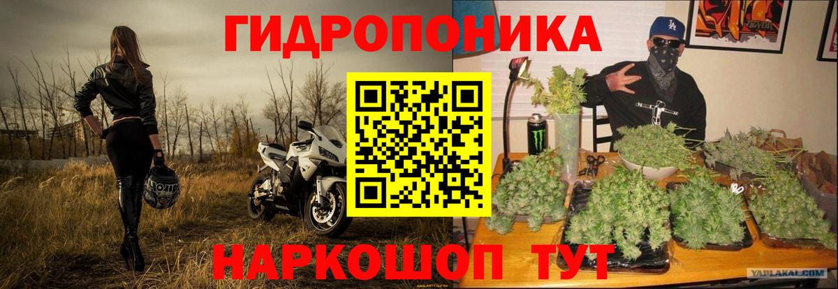 Каннабис конопля  Вход с VPN  Бошки Шишки Bruce Banner  Бошки марихуана индика  Абакан 