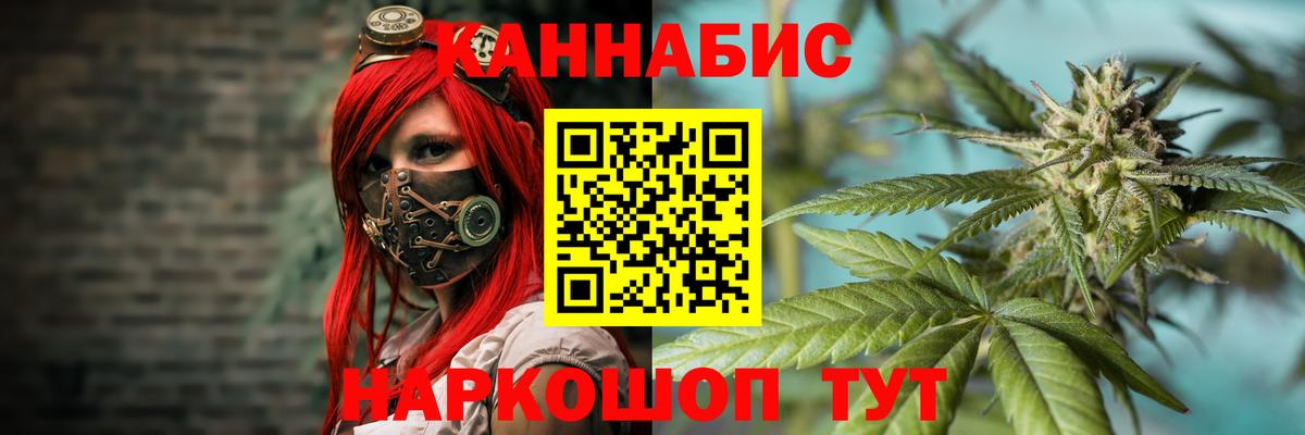Каннабис индика Абакан